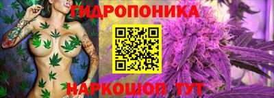 дурь Можга