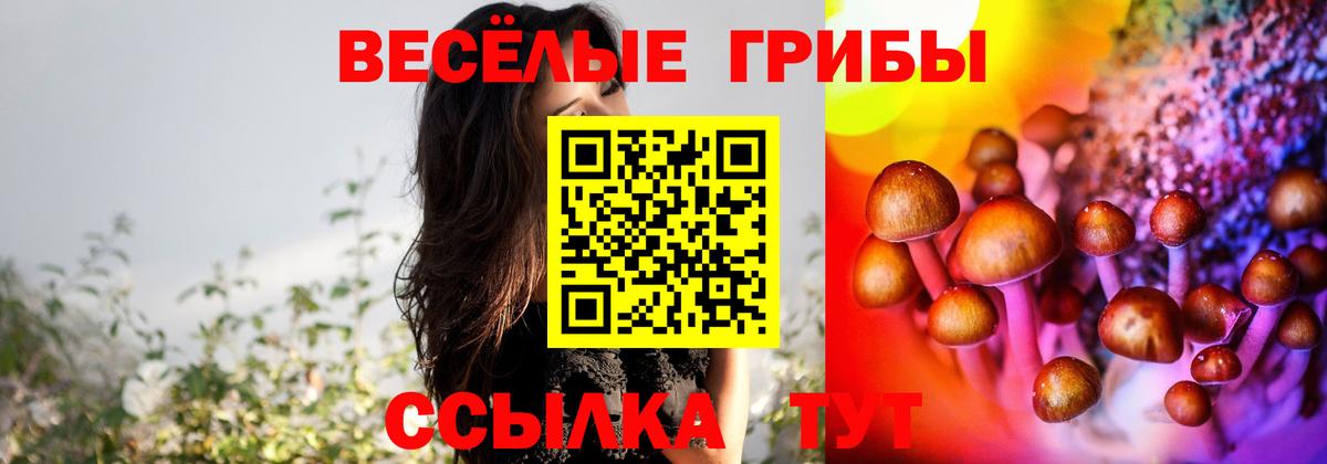 Галлюциногенные грибы прущие грибы  Вход с VPN  Фрязино 